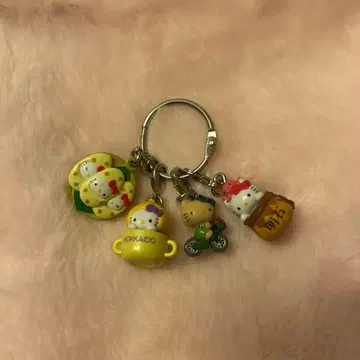 지역 한정 키티 4점 세트