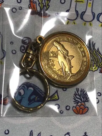 아쿠아 월드 수족관 hammerhead shark