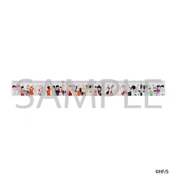 하이큐 점페스 2024 30cm 눈금자 모노사시 미개봉 새상품