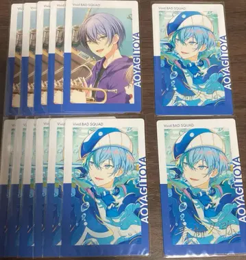 아오야기 토야 에피카 23C