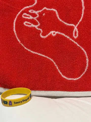 Saucy Dog 타월 러버 밴드 세트