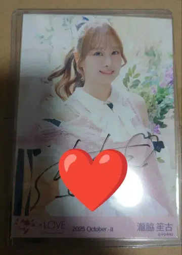 타키와키 쇼 친필 이코러브 브로마이드 러브송에 습격당하다 핑크 니트