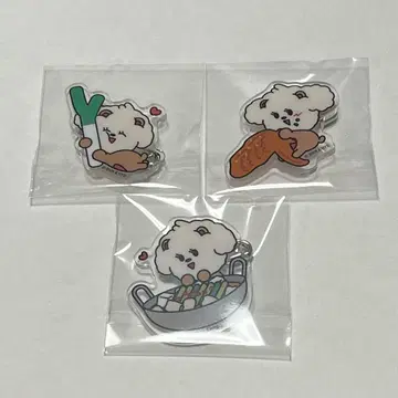 TXT 범규 밤굿 아크릴 배지 지역 한정 세트