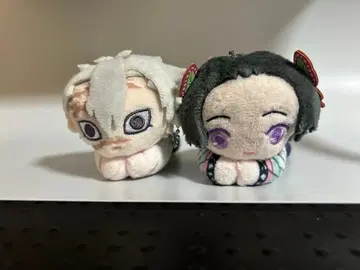 귀멸의 칼날 하구캐릭터 시나즈가와 사네미, 코쵸 카나에