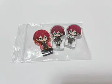 앙스타 사에구사 이바라 코롯토 Spotlight