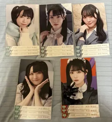 노이메 본다 타마유키 컴프