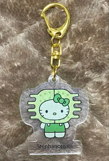 오사카 간사이 만박 일본관 모 키티 키링