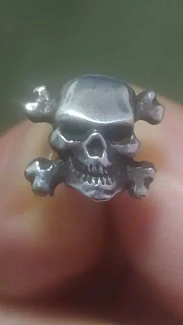 정품 크레이지 피그 귀걸이 크로스본 스컬