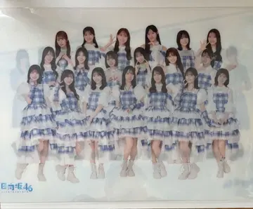 히나타자카46 클리어 파일 집합 로손