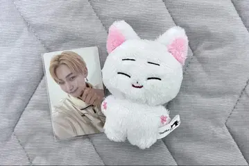 선우 Enhypen 봉제 인형 마스터