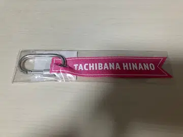 브이스포! 페스 2025 플라이트 택 타치바나 히나노 브이스포