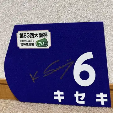 키세키 2019 오사카배 G I 미니 렛슨