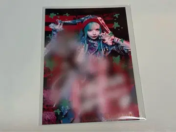 마큐로 스이조 니아 5