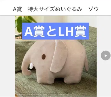 다이토 복권 블루나 애니멀 A상과 LH상의 세트 판매