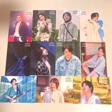 Mrs. GREEN APPLE 오모리 모토키 바벨 포토 카드 11장 세트