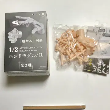 스튜디오 소타 1/2 핸드 모델 세트