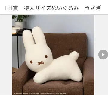 다이토 복권 브루나 애니멀 LH상 특대 사이즈 봉제 인형 토끼