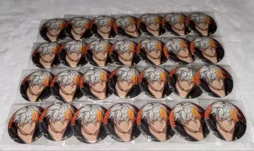 브라스 미즈키 캔뱃지 28개