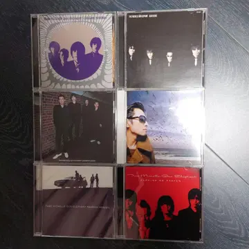 미셸 건 엘리펀트 앨범 6장