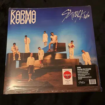StrayKids KARMA CRYSTAL CLEAR VINYL 레코드