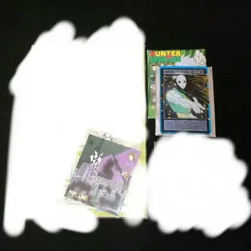 헌터헌터 이르미 토가시전 스탯 카드 스티커 2점
