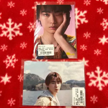 토요타 유다이 브로마이드