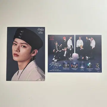 StrayKids 리노 플라이어