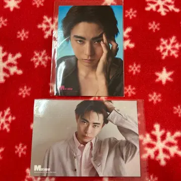 토요타 유다이 브로마이드