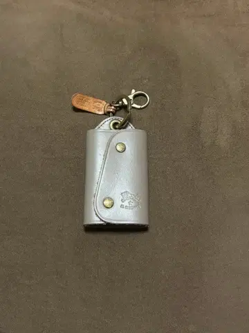 일비종떼 키케이스