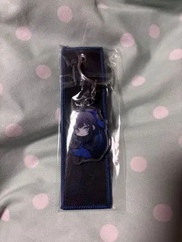 Ado Hibana WORLD TOUR 2025 여행 택 Japanver