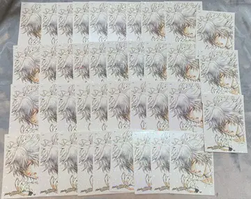 가정교사 히트맨 Reborn 카드 복권 브로마이드 화이트란