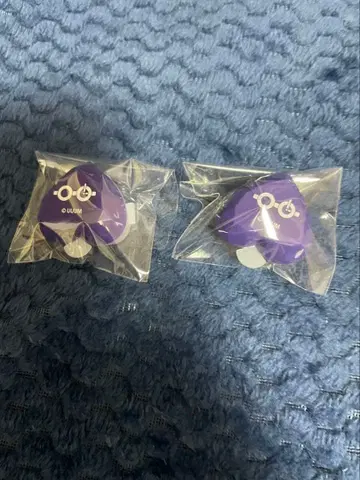 컬러풀 피치 카라피치 모후 라이트 토부 동물공원