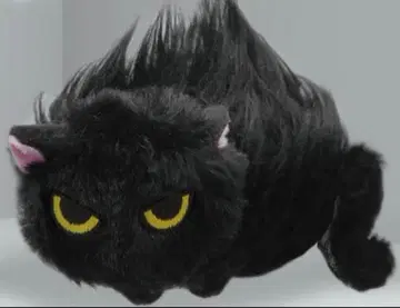 길들여지지 않는 고양이 봉제 인형 본가 고양이