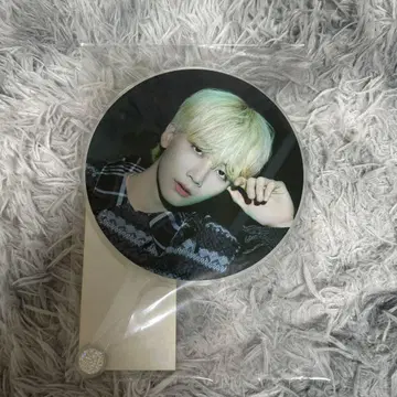 SEVENTEEN 정한 holiday 부채