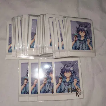 미나세 리오 파샤코레