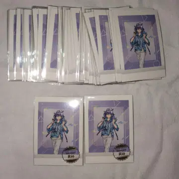 미나세 리오 파샤코레