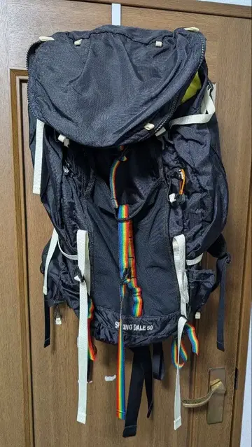 참스 CHUMS Springdale50 룩색 백팩 등산