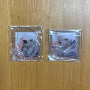 캡슐 복권 랏코의 메이쨩 복권 펜 스탠드 메이 캐치 뿅