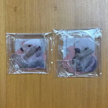 캡슐 복권 랏코의 메이쨩 복권 펜 스탠드 메이 빼꼼 캐치