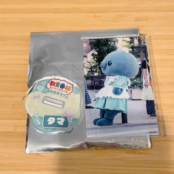 교육 방송 호메호메 카페 아크릴 스탠드 타마