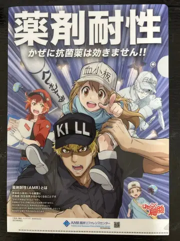 일하는 세포 항균 약제내성 클리어 파일 40매