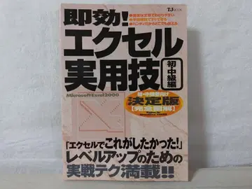 즉효 엑셀 실용 기술 초중급편 Microsoft Excel 2000 gn