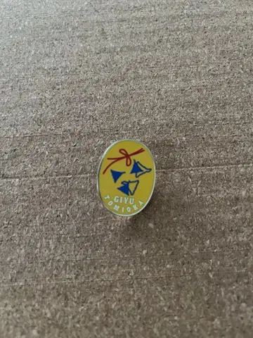 귀멸의 칼날 기둥전 컬렉션 핀즈 토미오카 기유