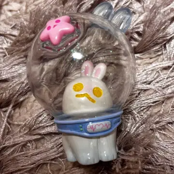 신우 Shinwoo 시크릿 토끼 달