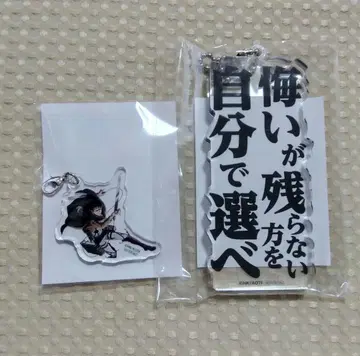 [ 진격의 거인 ] 아크릴 블록 키링 & 아크릴 참