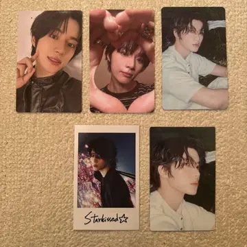 Starkissed 봄규 트레카세트