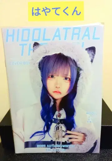 러브시크 인기 하야테 군 모델 도서 책자