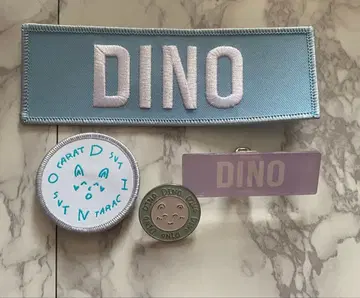 SEVENTEEN 네임 와펜 배지 & 핀 배지 세트