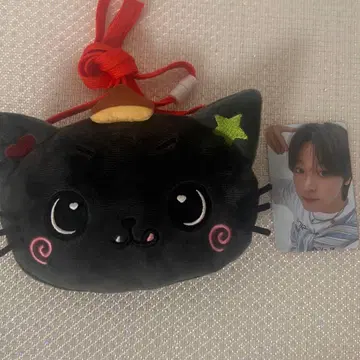 NCT WISH 트레이딩 카드 굿즈 미니백 리쿠 wish제