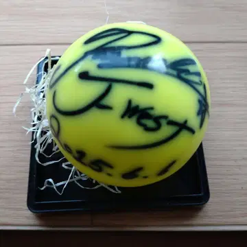 WEST. 후지이 류세이 사인볼